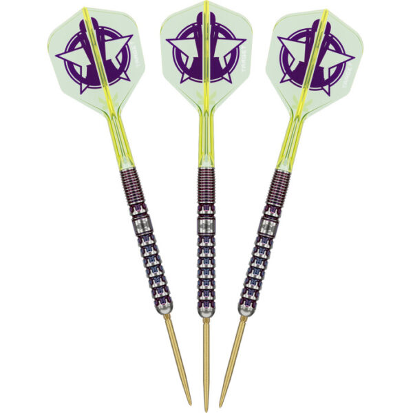 Target Luke Littler World Champion 90% Tungsten Swiss 23 Gram