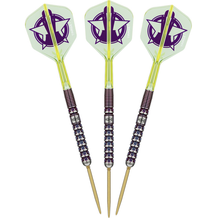 Target Luke Littler World Champion 90% Tungsten Swiss 23 Gram