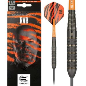 Target Raymond van Barneveld Brass Darts