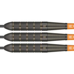 Target Raymond van Barneveld Brass Darts