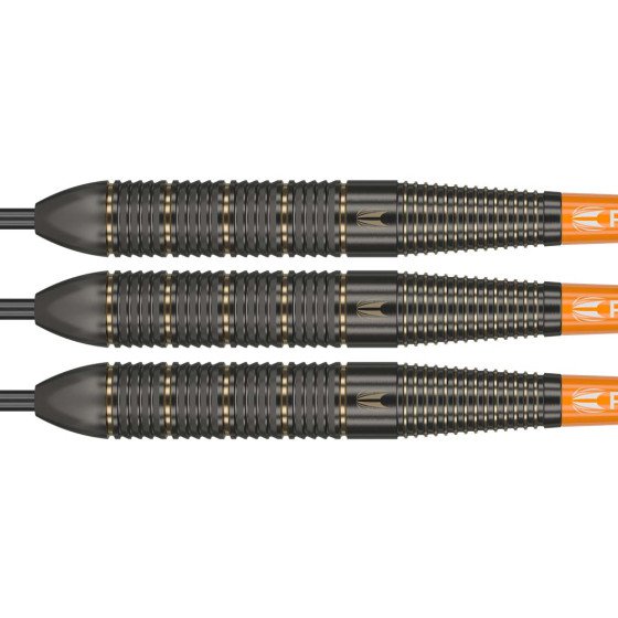Target Raymond van Barneveld Brass Darts