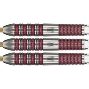 Target Stephen Bunting 95K 95% Swiss