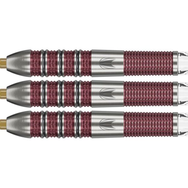 Target Stephen Bunting 95K 95% Swiss