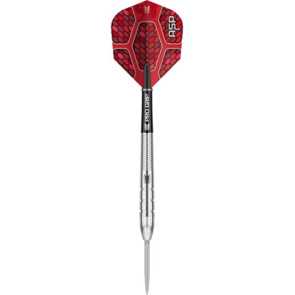 Target Nathan Aspinall G1 Swiss 90% tungsten