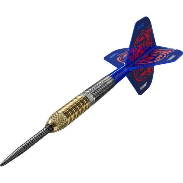 Target Raymond van Barneveld G6 95% Swiss