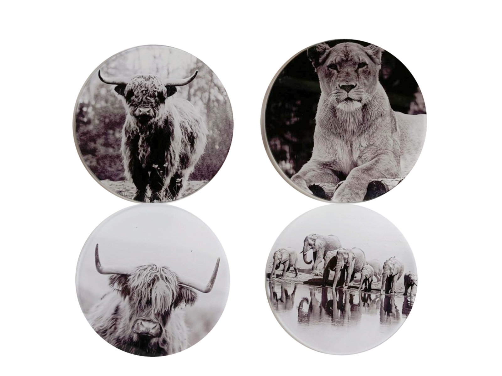 Set/4 glazen onderzetters Ø10cm Dieren zwart-wit