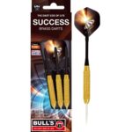 Bull's Success Steel Dart Brass