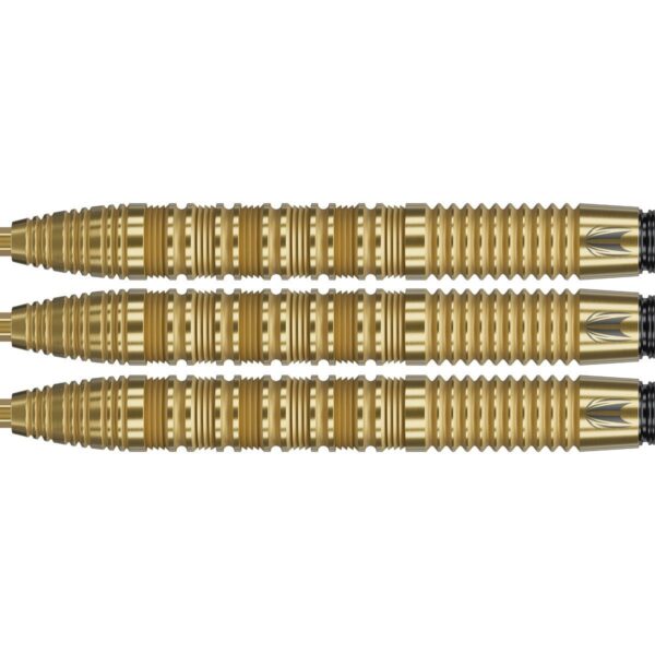 Target Bolide Envy 01 90% Tungsten Swiss point