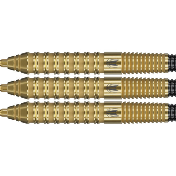 Target Bolide Envy 02 90% Tungsten Swiss point