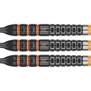 Target Raymond van Barneveld 95K Swiss