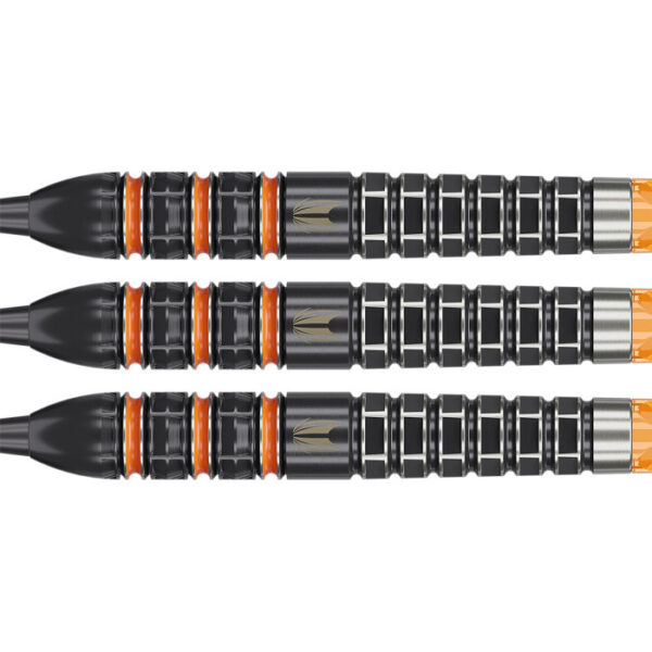Target Raymond van Barneveld 95K Swiss
