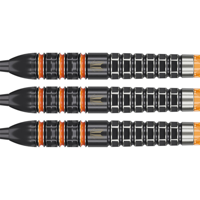 Target Raymond van Barneveld 95K Swiss