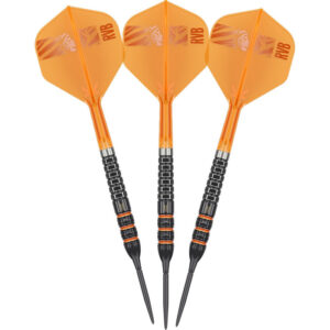Target Raymond van Barneveld 95K Swiss