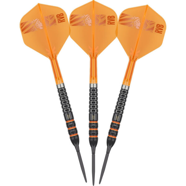 Target Raymond van Barneveld 95K Swiss